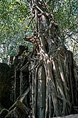 Angkor - ruins of Beng Mealea